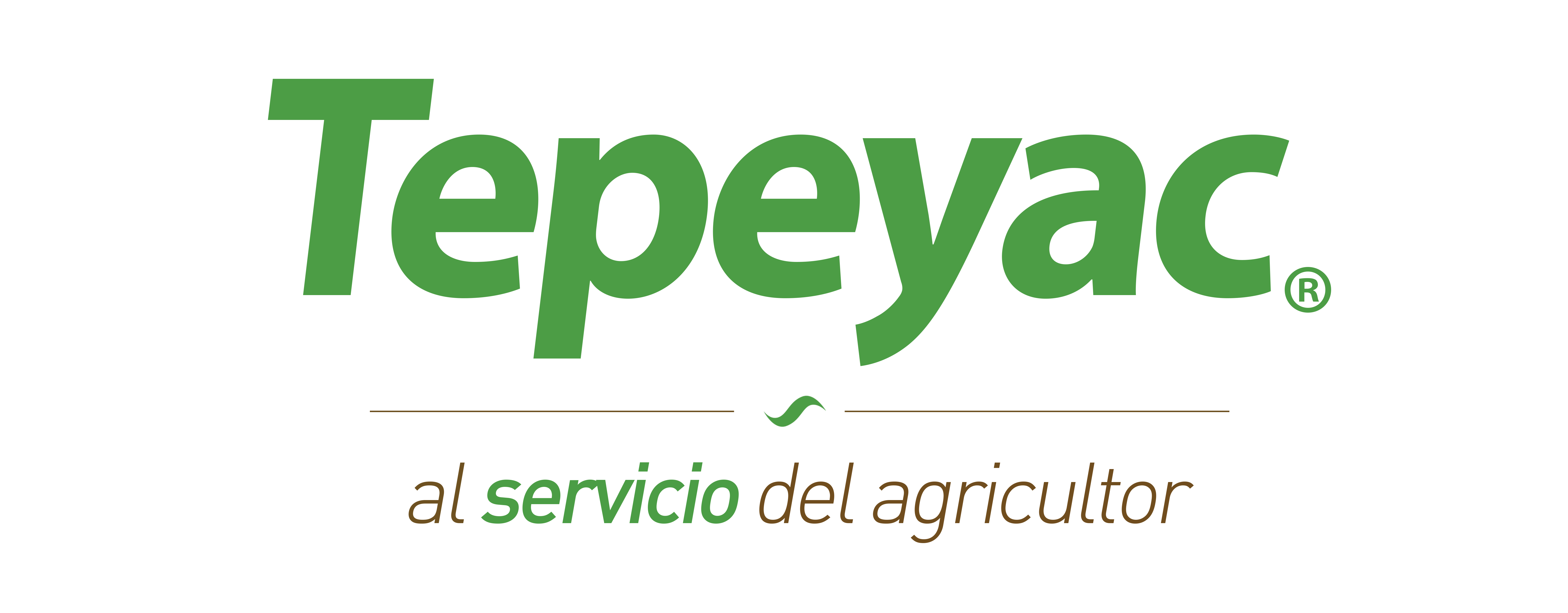 Tepeyac